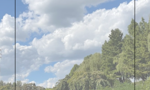 노동과건강 VOL.102